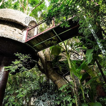 Dao Anh Khanh Tree House Hanoi Dış mekan fotoğraf