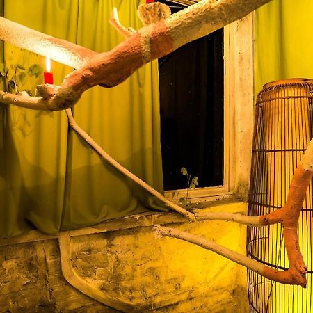Dao Anh Khanh Tree House Hanoi Dış mekan fotoğraf