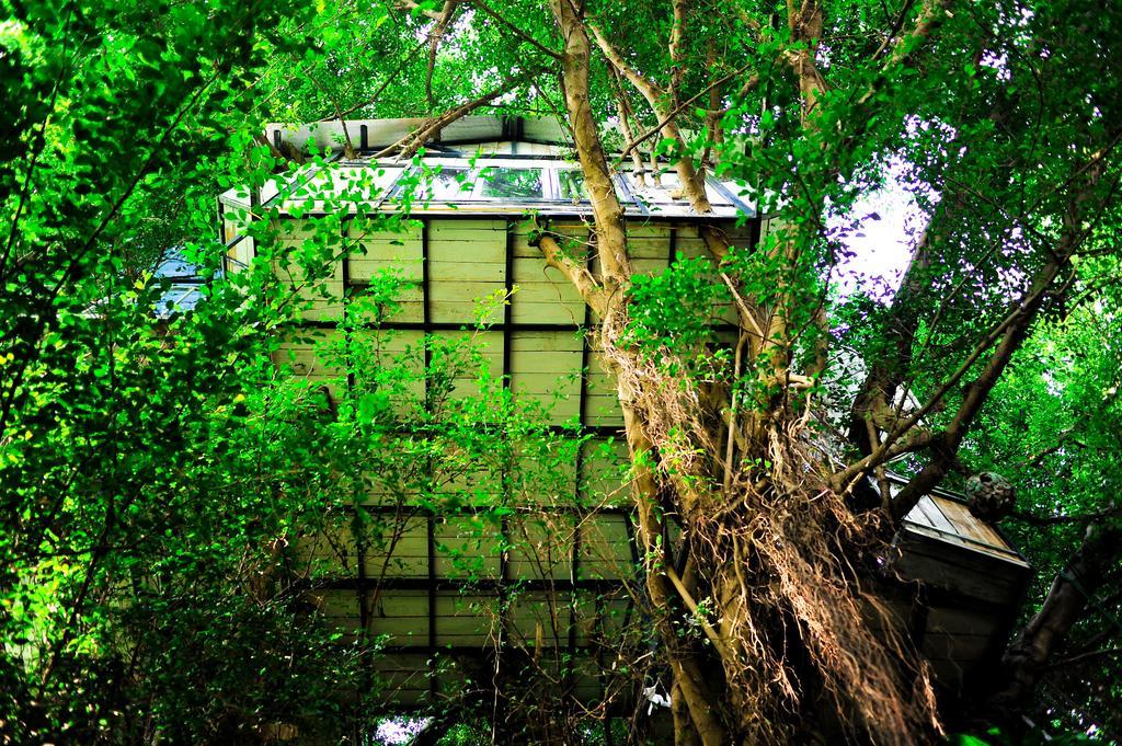 Dao Anh Khanh Tree House Hanoi Oda fotoğraf