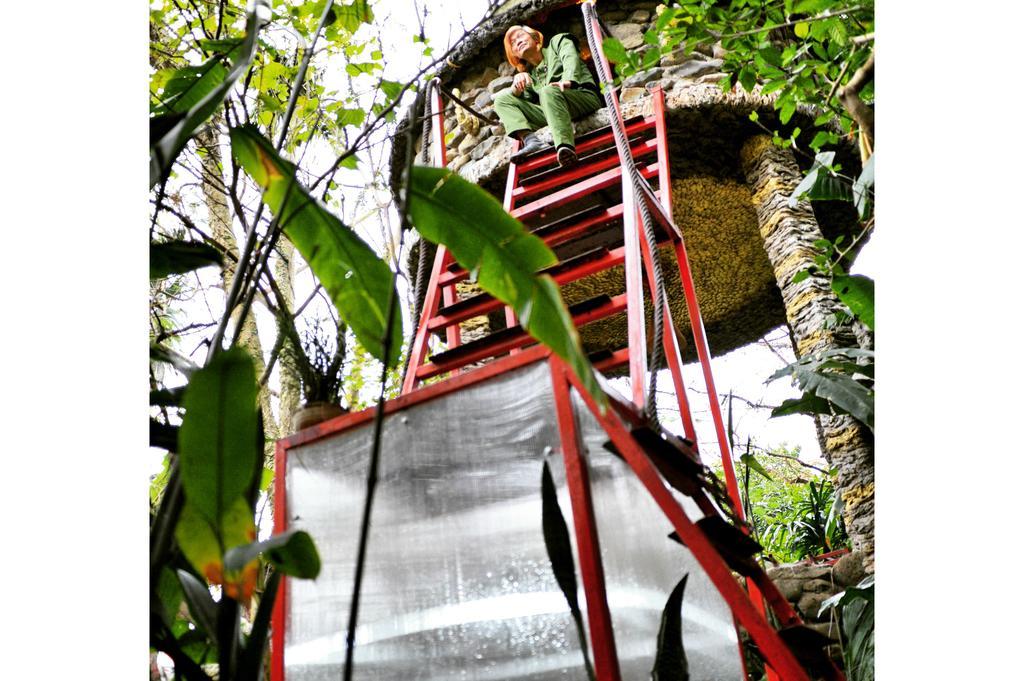 Dao Anh Khanh Tree House Hanoi Oda fotoğraf