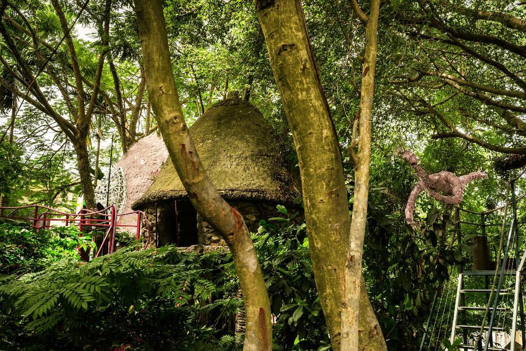 Dao Anh Khanh Tree House Hanoi Dış mekan fotoğraf