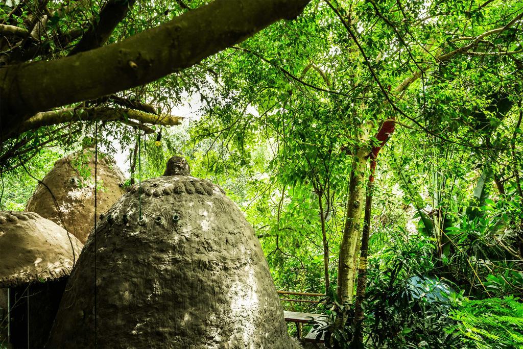 Dao Anh Khanh Tree House Hanoi Dış mekan fotoğraf