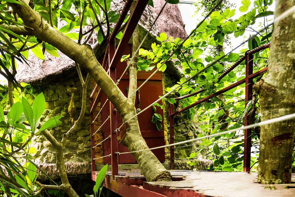 Dao Anh Khanh Tree House Hanoi Dış mekan fotoğraf