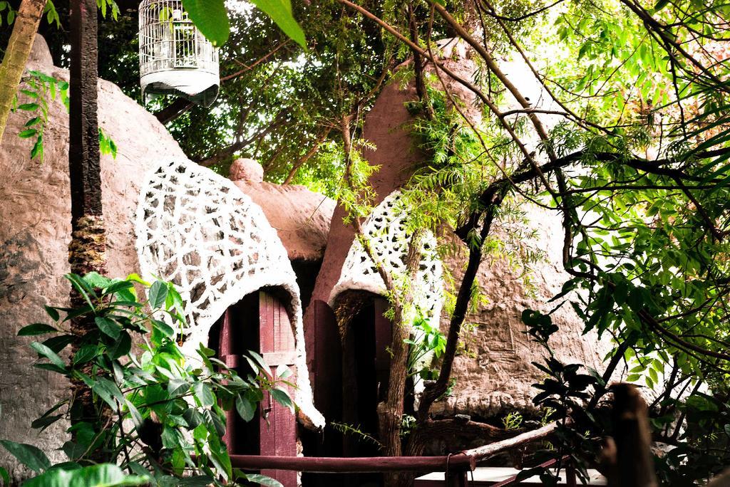 Dao Anh Khanh Tree House Hanoi Dış mekan fotoğraf