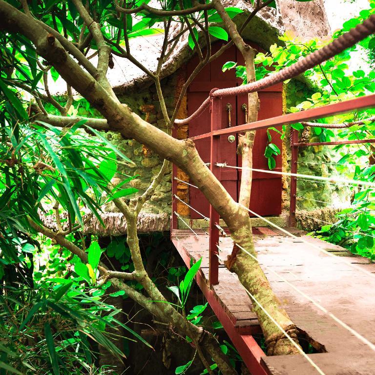 Dao Anh Khanh Tree House Hanoi Dış mekan fotoğraf