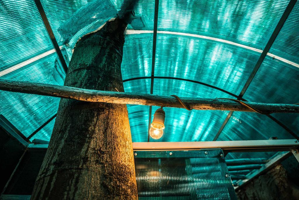 Dao Anh Khanh Tree House Hanoi Dış mekan fotoğraf