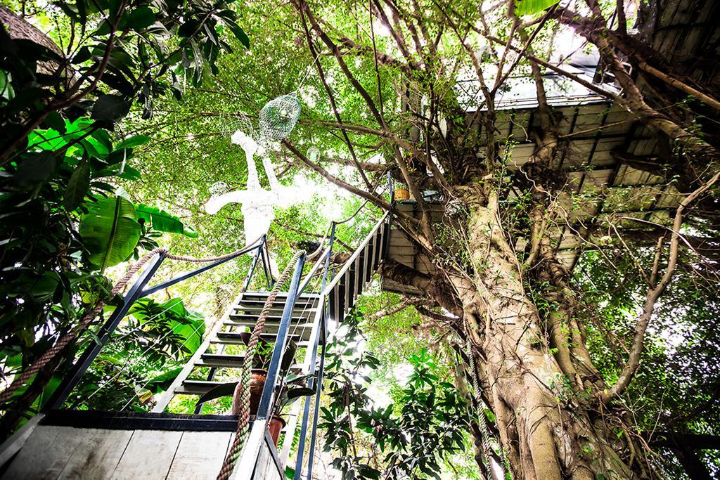 Dao Anh Khanh Tree House Hanoi Dış mekan fotoğraf