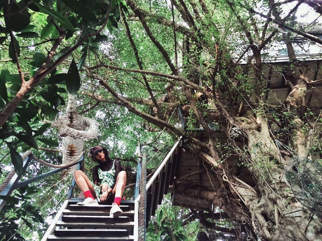 Dao Anh Khanh Tree House Hanoi Dış mekan fotoğraf