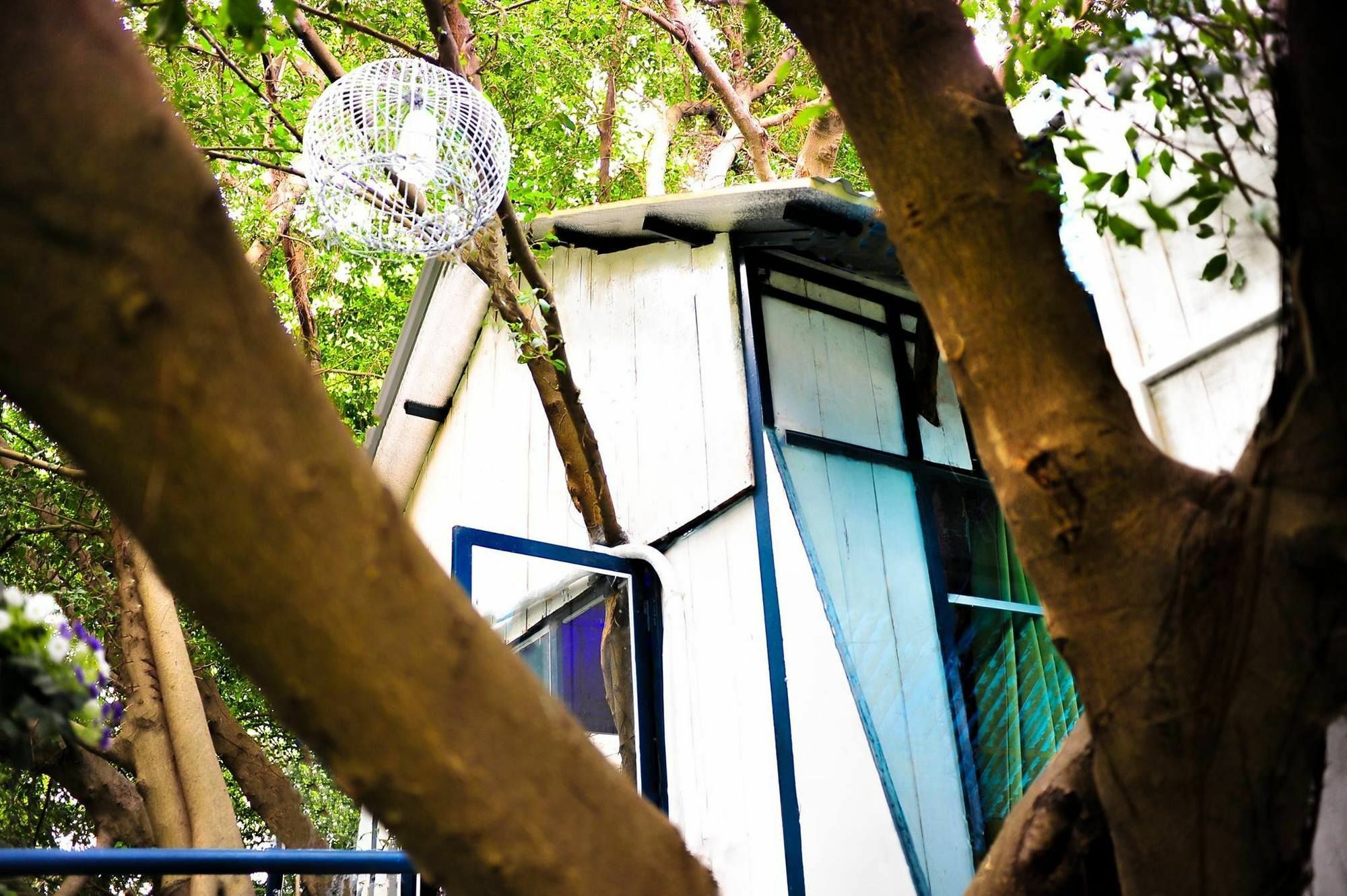 Dao Anh Khanh Tree House Hanoi Dış mekan fotoğraf