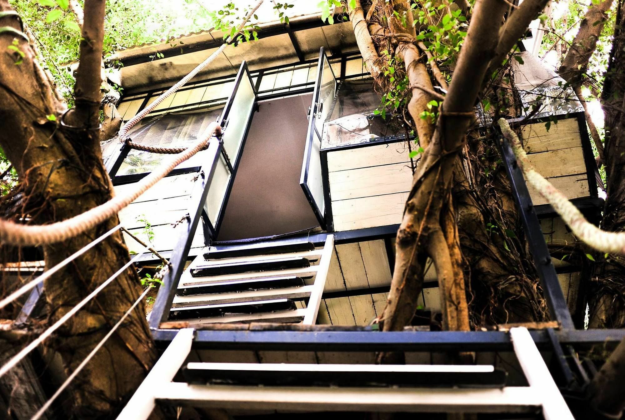Dao Anh Khanh Tree House Hanoi Dış mekan fotoğraf
